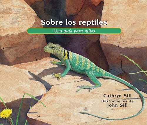 Book cover of Sobre los reptiles: Una guía para niños (About. . .)