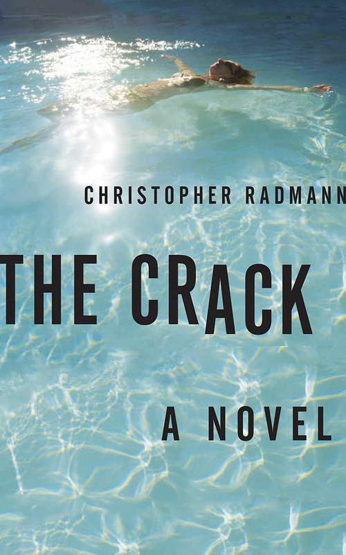 Book cover of The Crack
