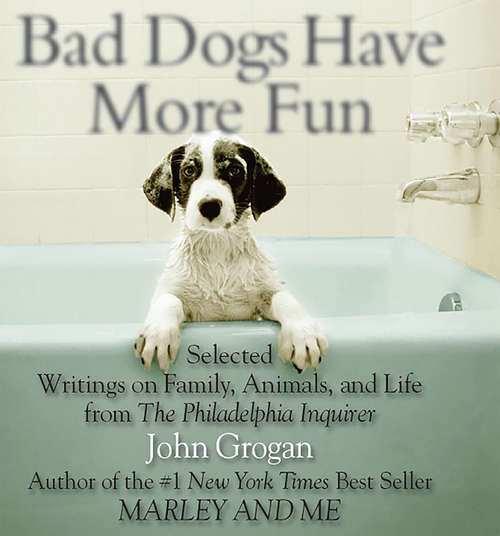Book cover of Bad Dogs Have More Fun