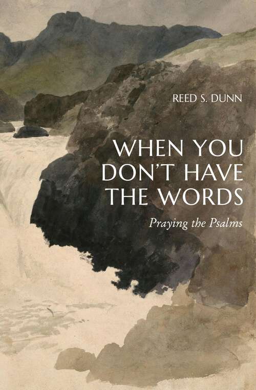 Book cover of When You Don't Have the Words: Praying the Psalms