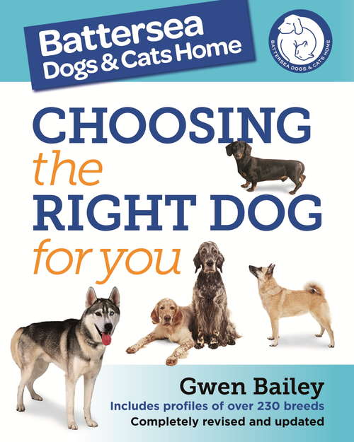 The Battersea Dogs and Cats Home: Choosing The Right Dog For You