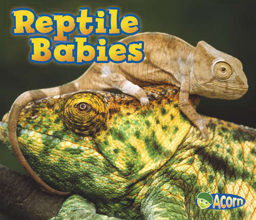 Book cover of Reptile Babies (Animal Babies Ser.)