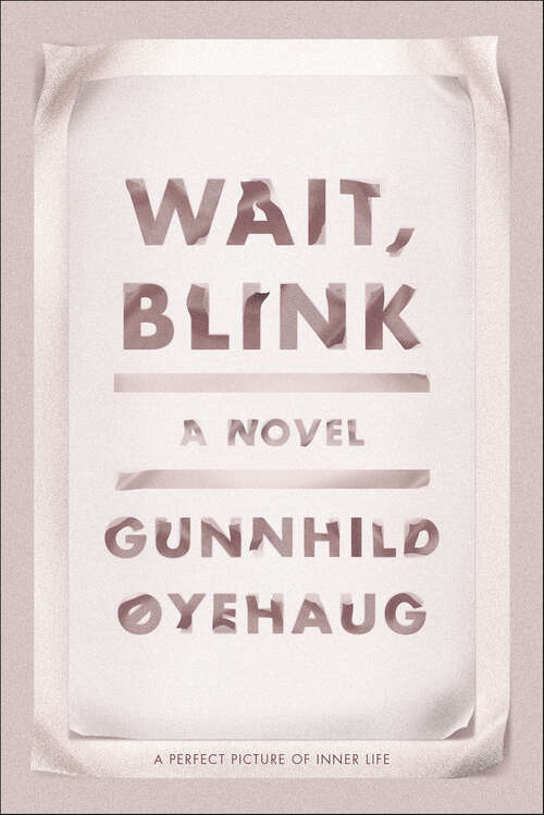 Book cover of Wait, Blink: A Novel
