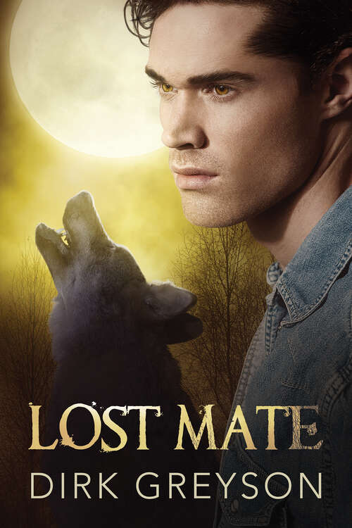 Book cover of Lost Mate