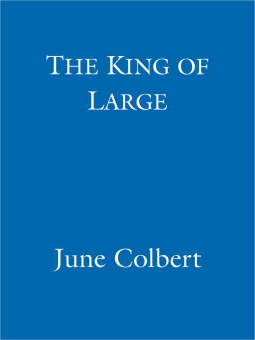 Book cover of The King of Large
