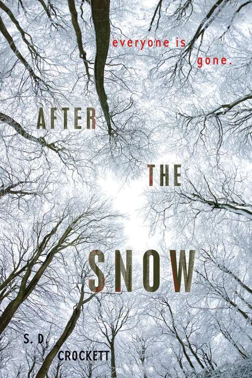 Book cover of After The Snow (After The Snow #1)