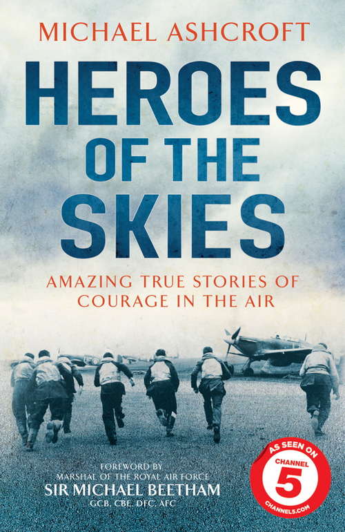 Book cover of Heroes of the Skies