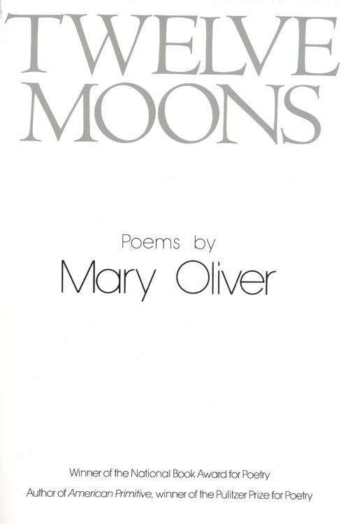 Book cover of Twelve Moons