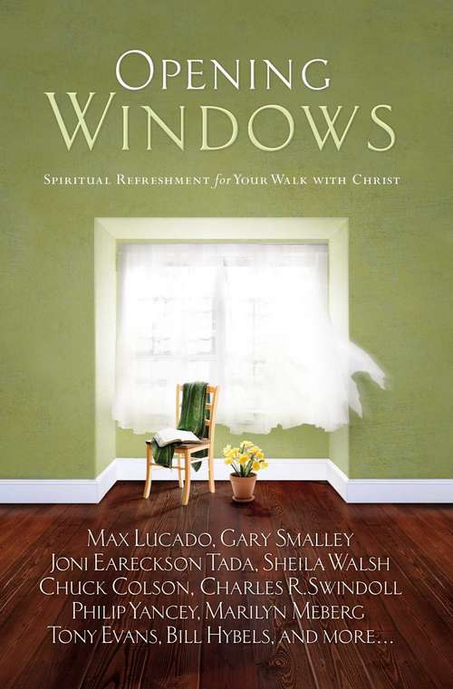 Book cover of Opening Windows