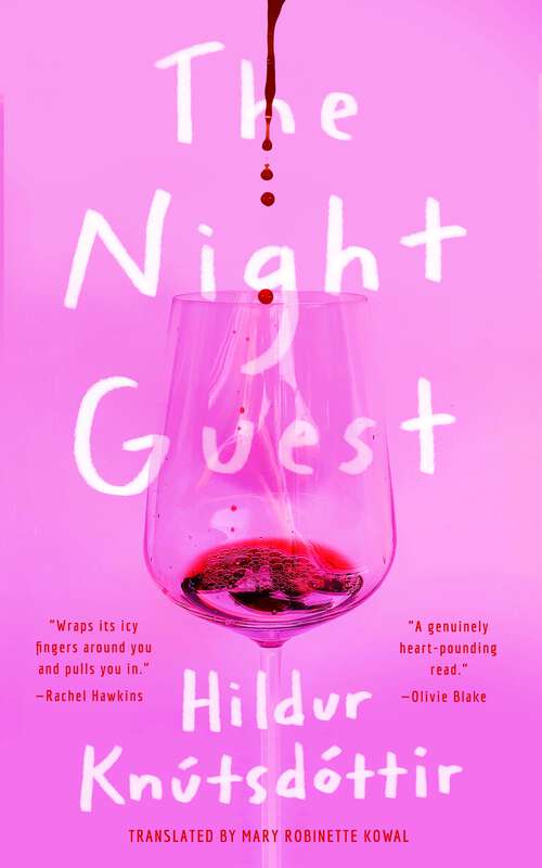 Book cover of The Night Guest