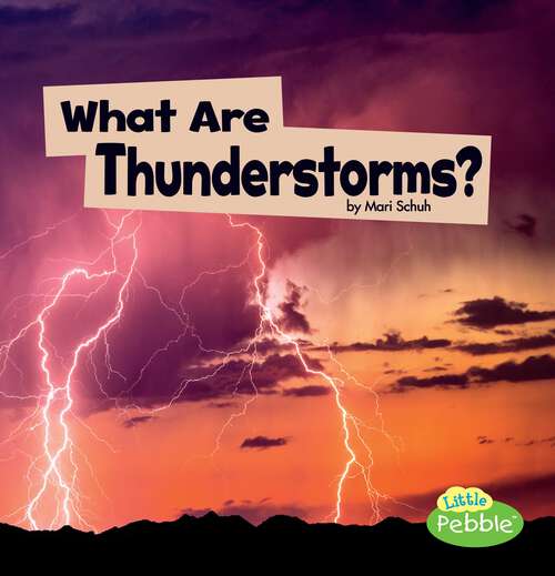 Book cover of What Are Thunderstorms? (Wicked Weather Ser.)