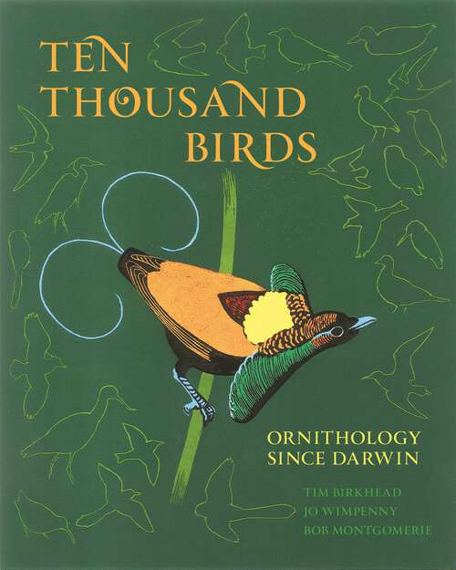 Book cover of Ten Thousand Birds