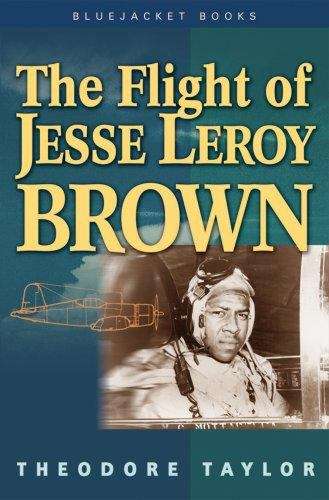 Book cover of The Flight of Jesse Leroy Brown