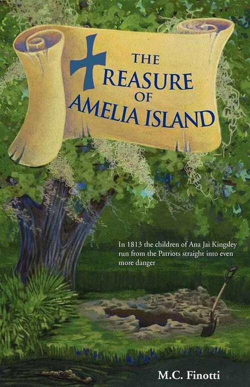 Book cover of The Treasure of Amelia Island (Florida Historical Fiction for Youth)