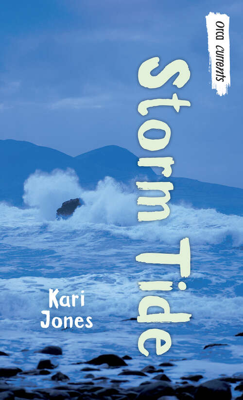 Book cover of Storm Tide