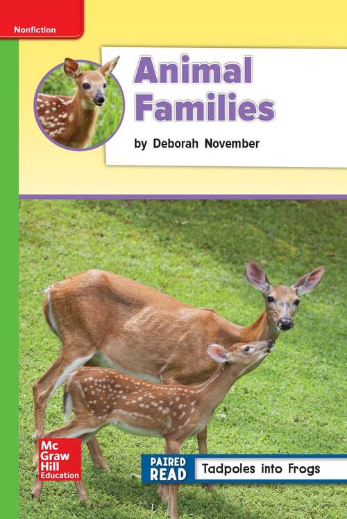 Book cover of Animal Families [Beyond Level, Grade 2]