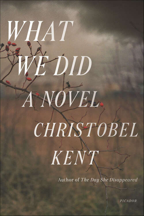Book cover of What We Did: A Novel