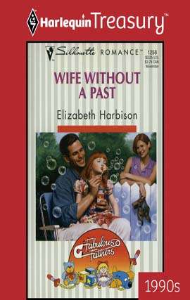 Book cover of Wife Without a Past