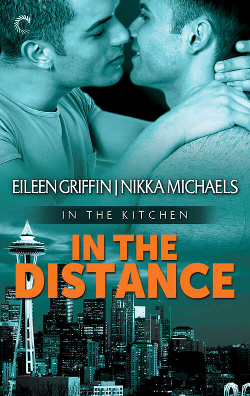 Book cover of In the Distance
