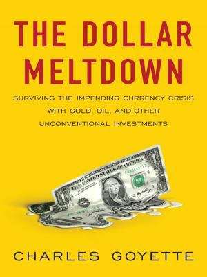 Book cover of The Dollar Meltdown