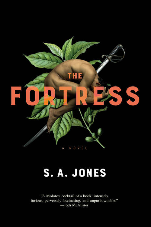 Book cover of The Fortress