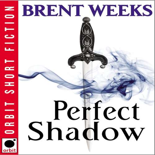 Book cover of Perfect Shadow: A Night Angel Novella