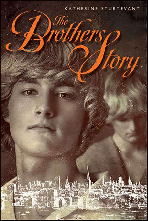 Book cover of The Brothers Story