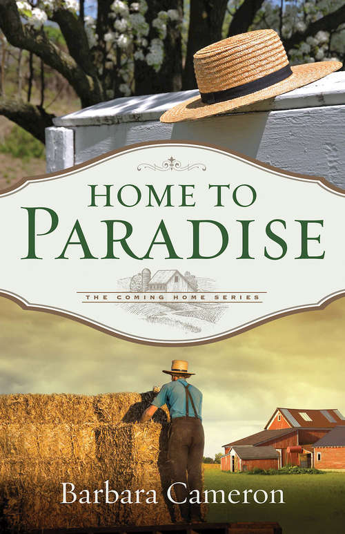 Book cover of Home to Paradise: The Coming Home Series — Book 3