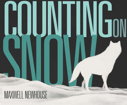 Book cover of Counting on Snow