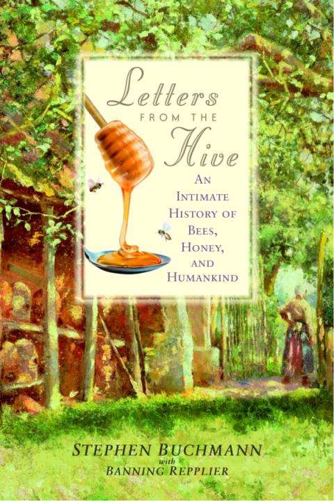 Book cover of Honey Bees: Letters from the Hive