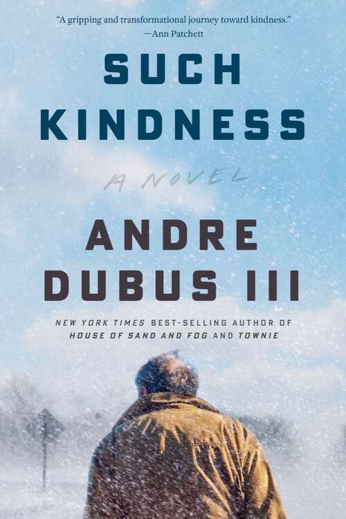 Book cover of Such Kindness: A Novel