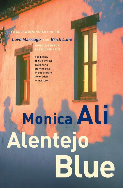 Book cover of Alentejo Blue