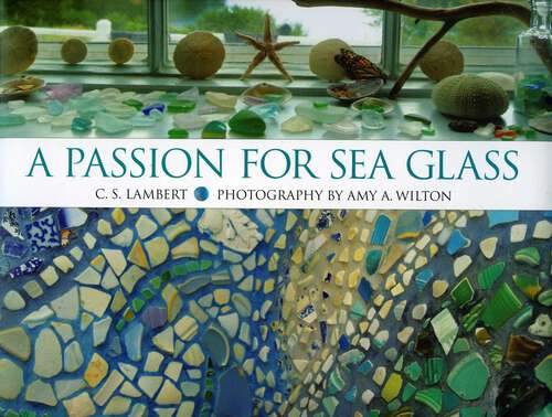 Book cover of A Passion for Sea Glass