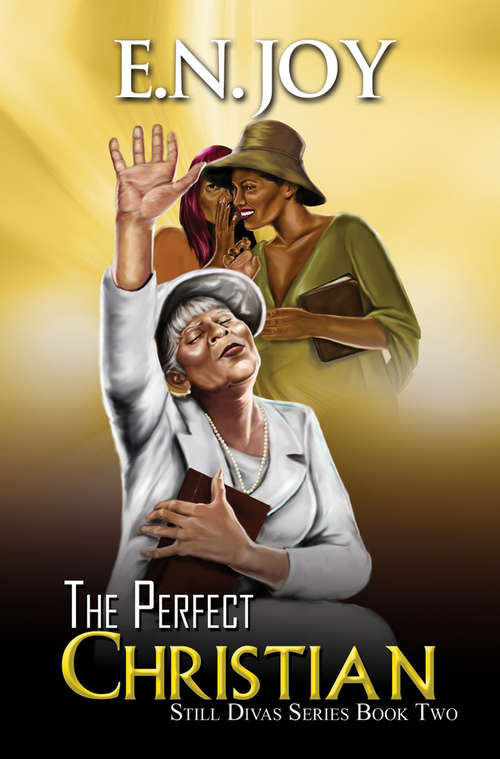 Book cover of The Perfect Christian: Still Divas Series Book Two