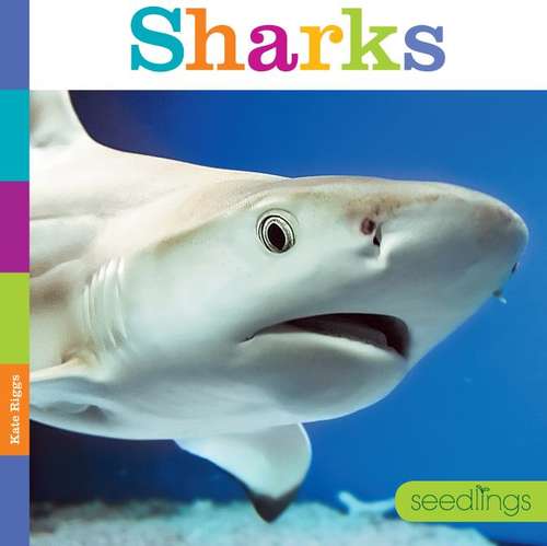 Sharks (Seedlings)