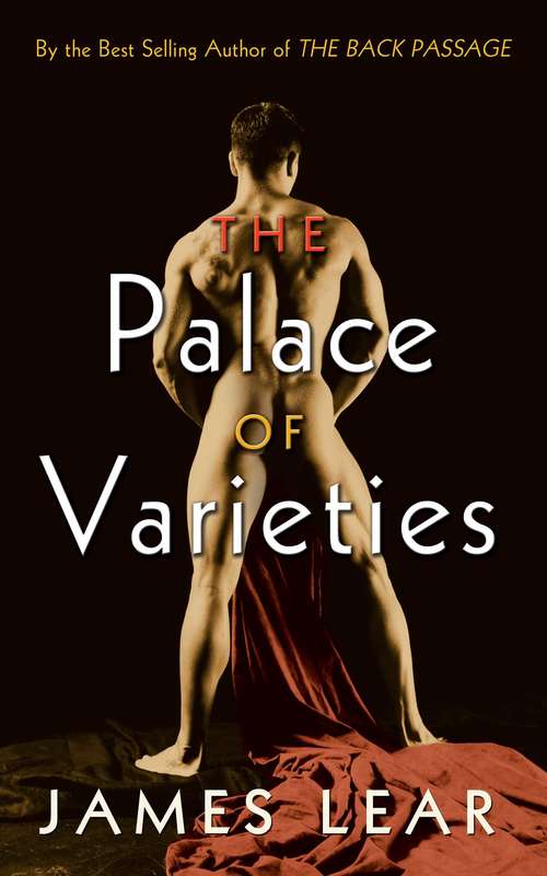 Book cover of The Palace of Varieties