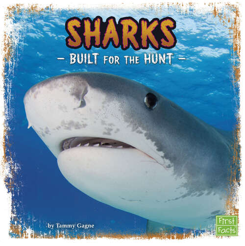 Book cover of Sharks: Built For The Hunt (Predator Profiles Ser.)