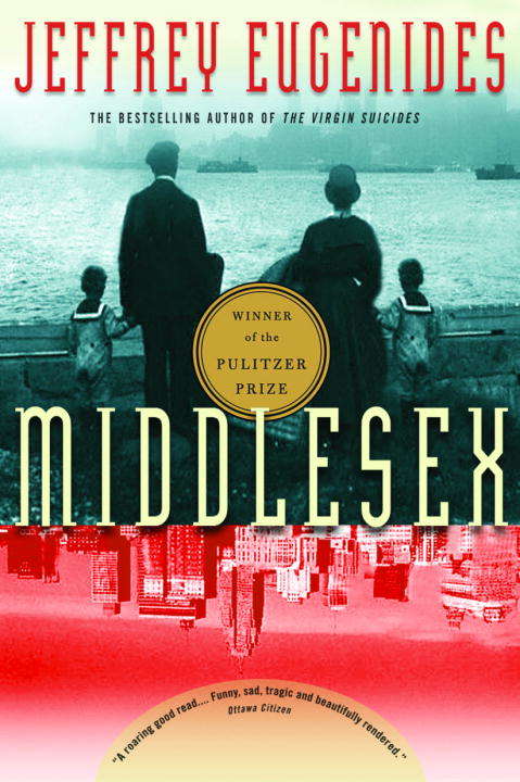 Book cover of Middlesex