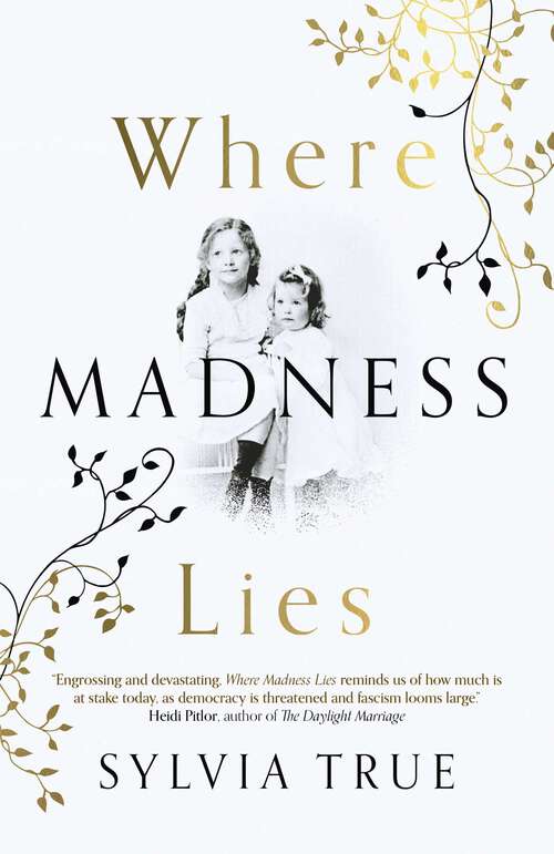 Book cover of Where Madness Lies: A Novel