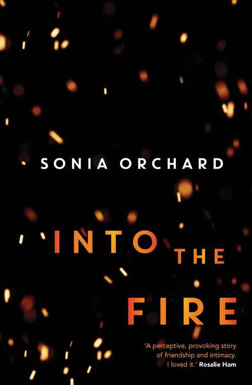 Book cover of Into the Fire