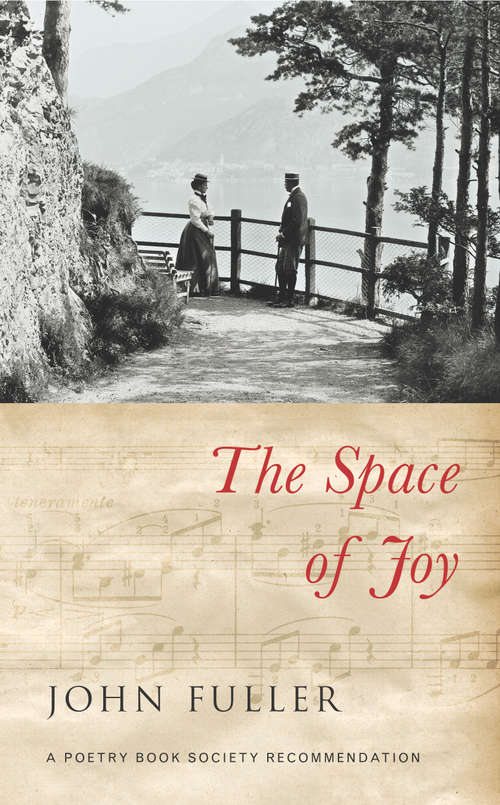 Book cover of The Space of Joy