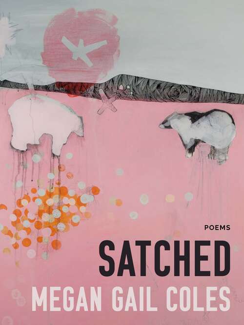 Book cover of Satched