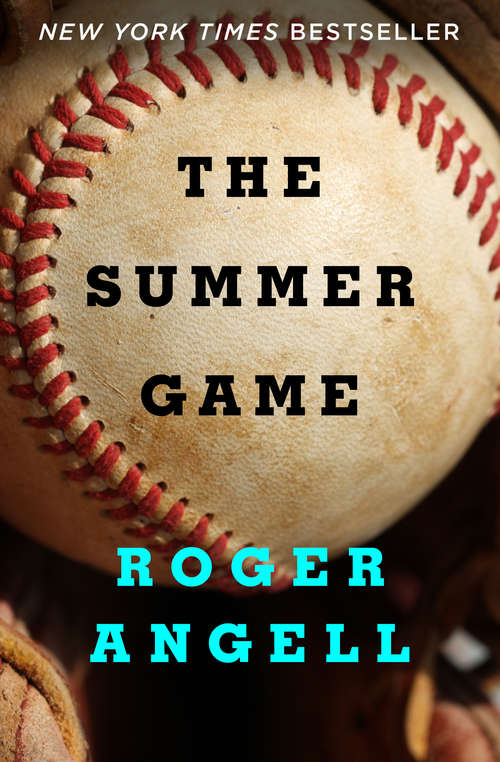 Book cover of The Summer Game