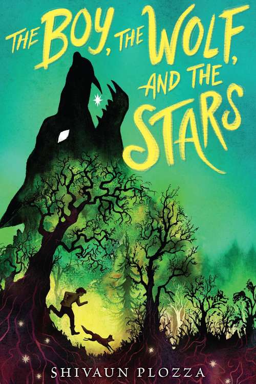 Book cover of The Boy, the Wolf, and the Stars