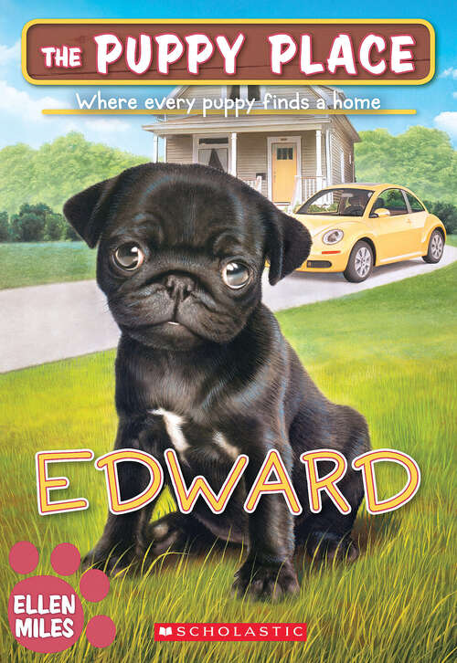 Book cover of Edward (The\puppy Place Ser. #49)