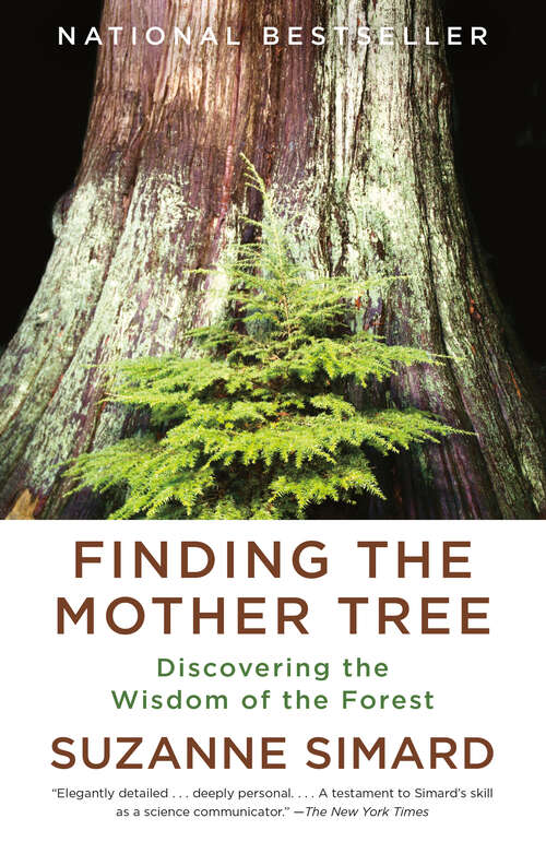 Book cover of Finding the Mother Tree: Discovering the Wisdom of the Forest