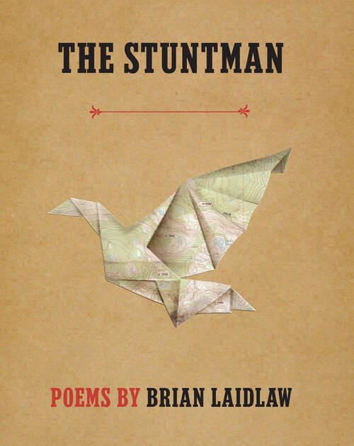 Book cover of The Stuntman