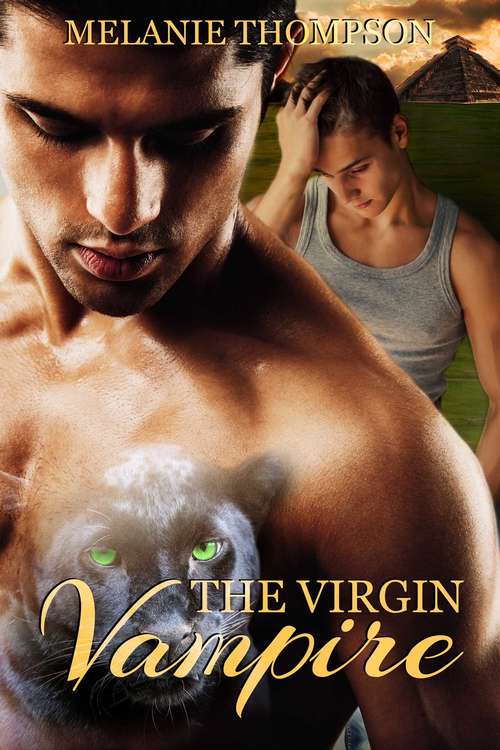 Book cover of The Virgin Vampire