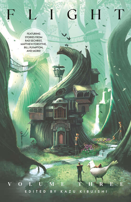 Book cover of Flight Volume Three (Flight)