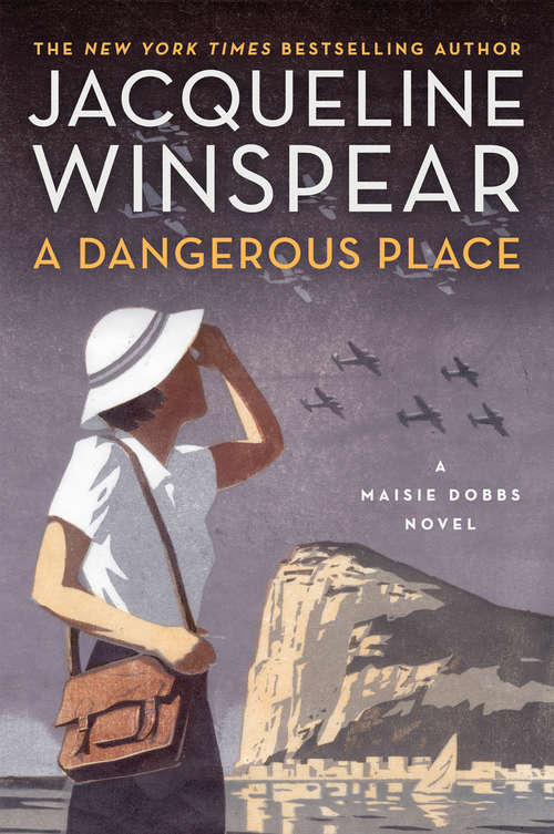 Book cover of A Dangerous Place